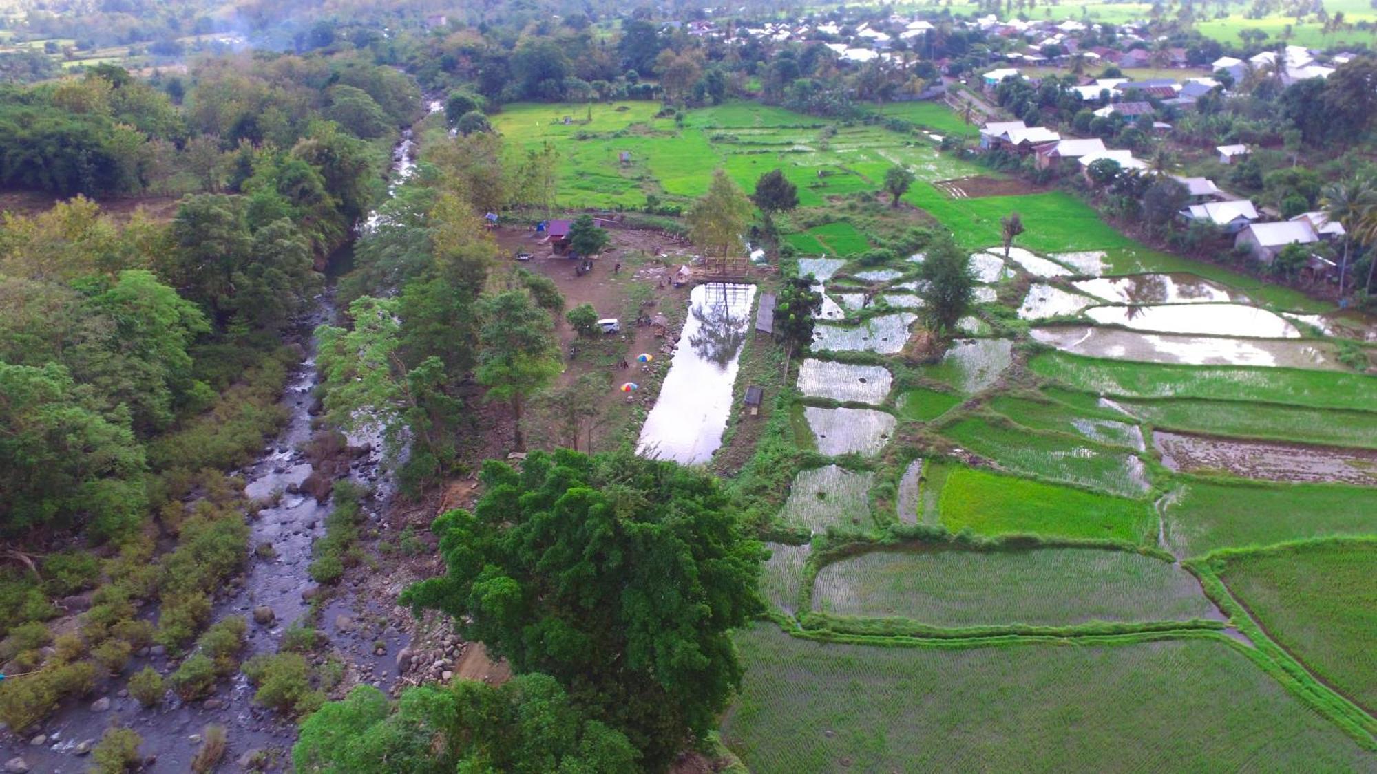 Tiu Batu Homestay Alas Kültér fotó