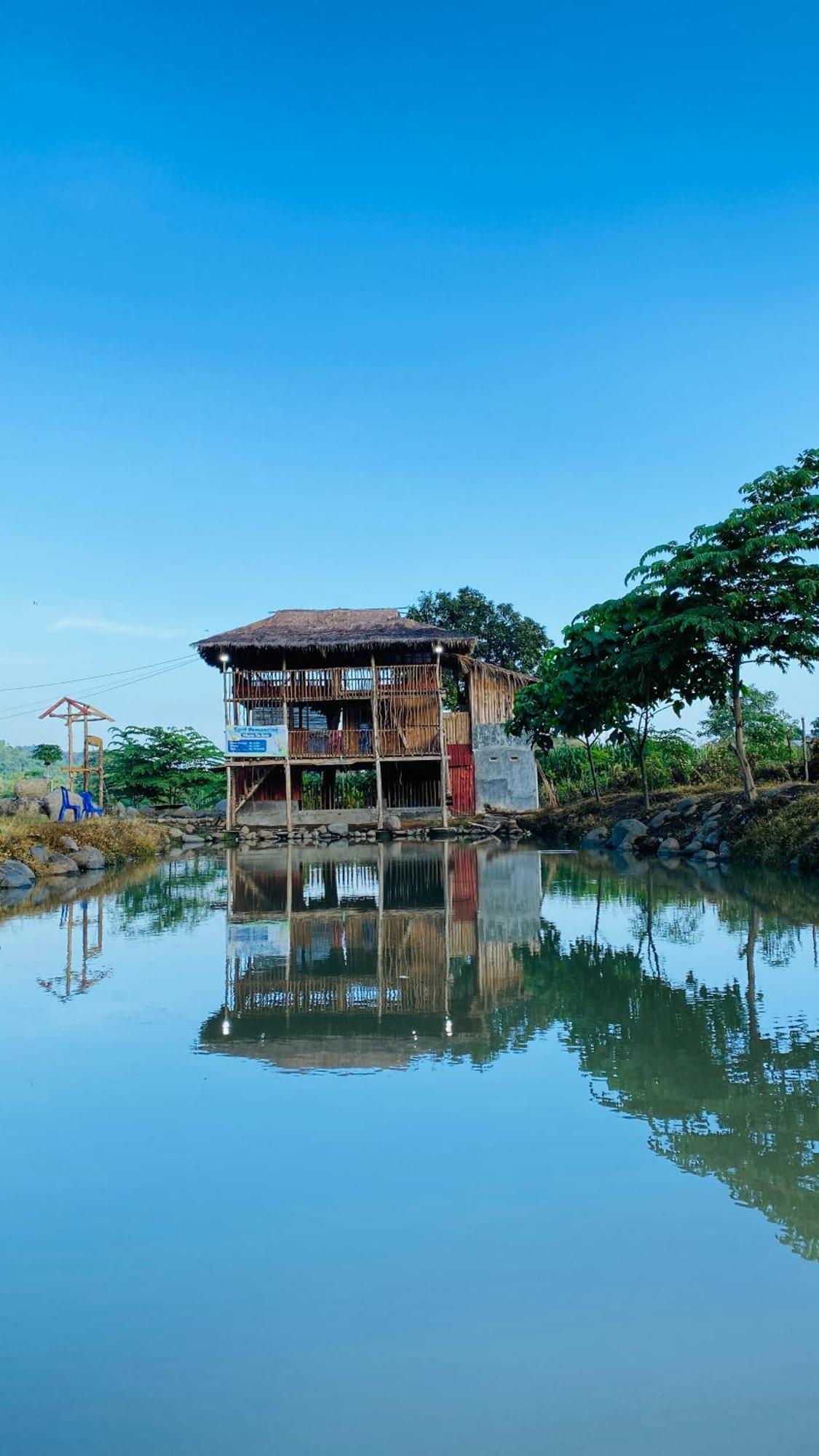 Tiu Batu Homestay Alas Kültér fotó