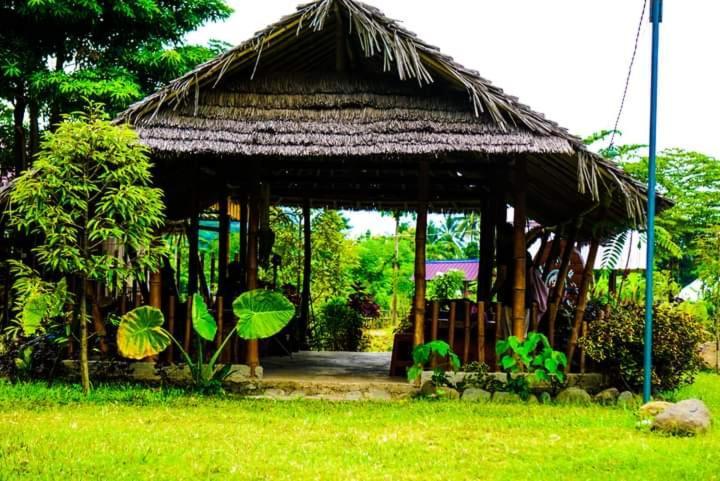 Tiu Batu Homestay Alas Kültér fotó