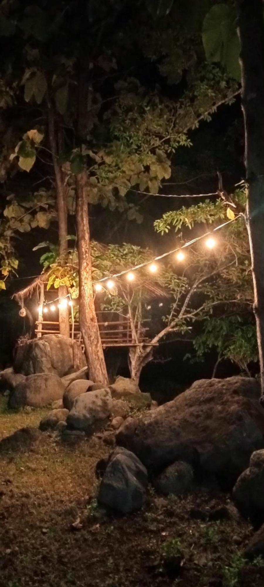 Tiu Batu Homestay Alas Kültér fotó
